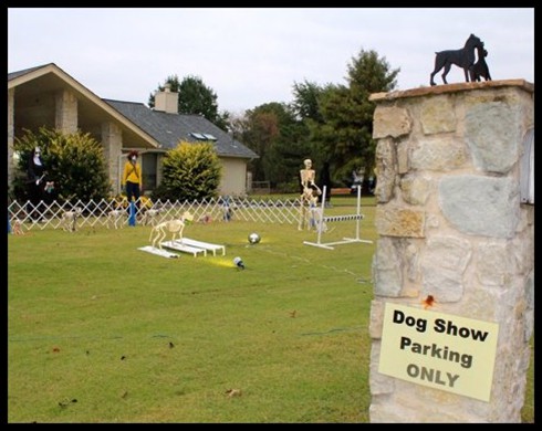 Dog Show From Hell ...