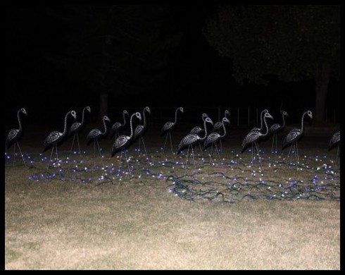 Zombie Flamingo Flock
